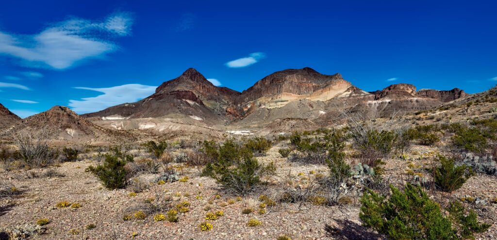 Landscape of Big Bend National Park in Southwest Texas.